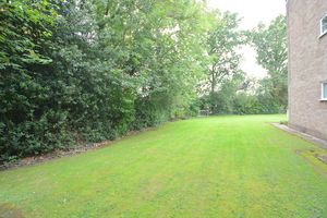 Photo 16- click for photo gallery